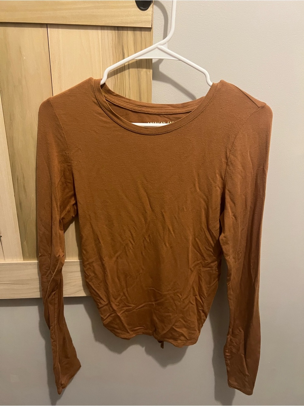 Long Sleeve Crewneck Top - Rust